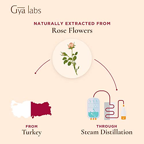Rosenöl Gya Labs Ätherisches Öl Rose für Haut und Gesicht, 10ml