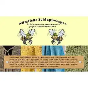 Schlupfwespen gegen Motten Vgo… Schlupfwespen EIN Kärtchen