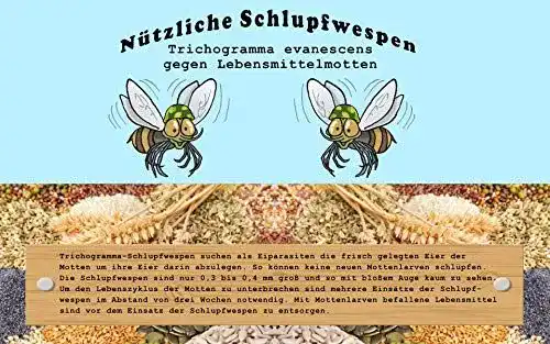 Schlupfwespen gegen Motten Vgo… Schlupfwespen Eine Karte