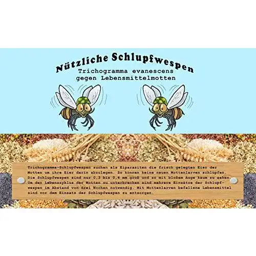 Schlupfwespen gegen Motten Vgo… Schlupfwespen Eine Karte