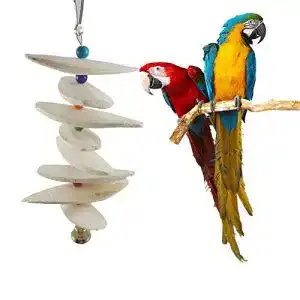 Sepiaschalen FYBlossom Vogel Spielzeug Tintenfisch Sepia Knochen