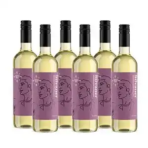 Silvaner Compass Road Amazon-Marke – Weißwein , (6×0,75L)