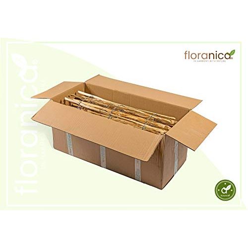 Staketenzaun Floranica ® Haselnussholz-Rollzaun | Länge 500cm