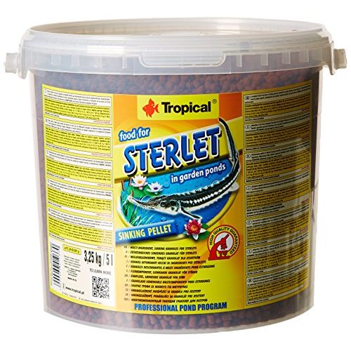 Die beste stoerfutter tropical sterlet 1er pack 1 x 5 l Bestsleller kaufen