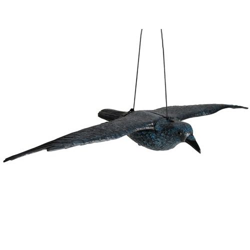 Die beste taubenschreck hillfield schwarzer rabe fliegend 80cm spannweite Bestsleller kaufen