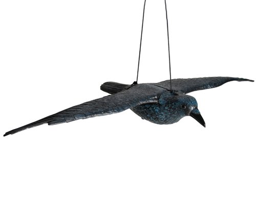 Die beste taubenschreck hillfield schwarzer rabe fliegend 80cm spannweite Bestsleller kaufen