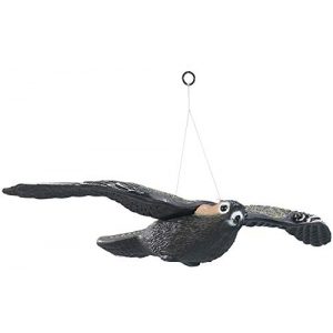 Taubenschreck Royal Gardineer : Vogelschreck Falke zum Aufhängen
