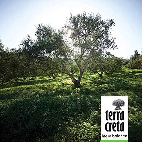 Terra-Creta-Olivenöl Terra Creta Estate extra Nativ, 5000 ml