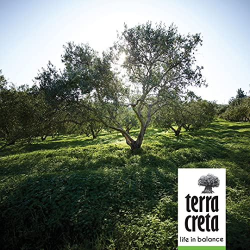 Terra-Creta-Olivenöl Terra Creta Extra Natives Olivenöl, 5 l