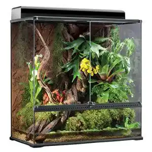 Terrarium
