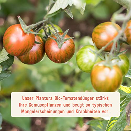 Tomatendünger Plantura Bio mit 3 Monaten Langzeit-, 1,5 kg
