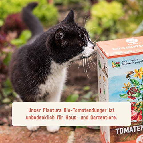 Tomatendünger Plantura Bio mit 3 Monaten Langzeit-, 1,5 kg