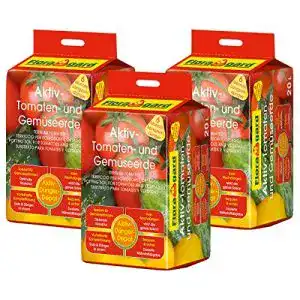 Tomatenerde