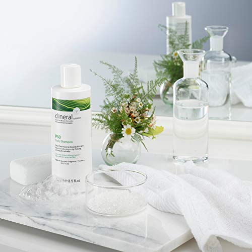 Totes-Meer-Shampoo AHAVA Clineral PSO Scalp Shampoo, 250 ml