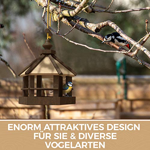 Vogelhaus NATUREFLOW zum Aufhängen Holz – Wetterfest