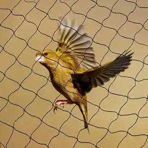 Vogelschutznetz Yaheetech Yahee Laubnetz Teichnetz Netz zum Schutz