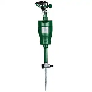 Die beste Wasserstrahl-Tiervertreiber 2026 Test Bestseller Wasserstrahl-Tiervertreiber