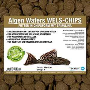 Welsfutter Teichpoint Algen-Wafers Wels-Chips – im 1 Liter Beutel