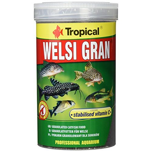 Die beste welsfutter tropical welsi gran granulat 1er pack 1 x 1 l Bestsleller kaufen
