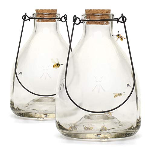 Wespenfalle CKB Ltd 2er Set Wasp Catcher Trap Wespenfänger Glas