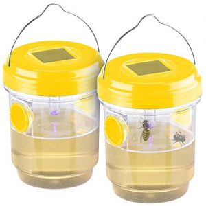 Wespenfalle Exbuster : 2er-Set giftfreie Solar-LED-Insektenfalle