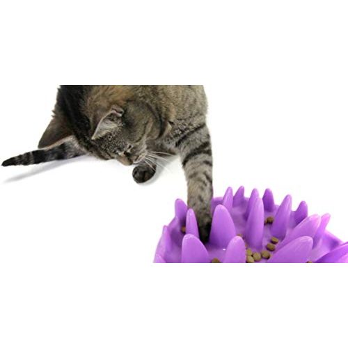 Anti-Schling-Napf Katze NORTHMATE ® CATCH lila