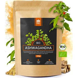 Ashwagandha-Pulver Holi Natural ® 500g