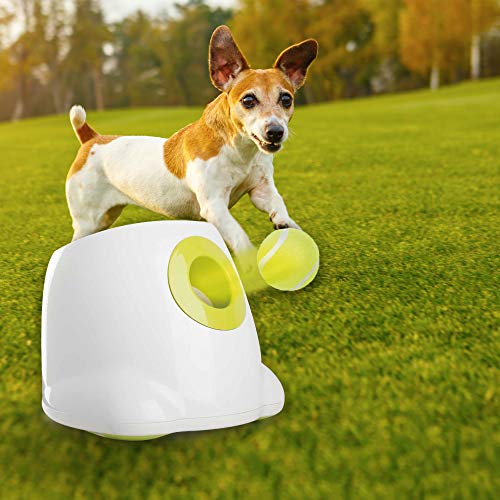 Ballwurfmaschine Hund Pet Prime Automatischer Ballwerfer