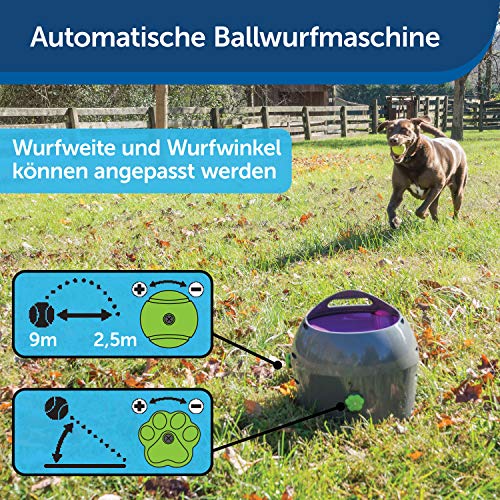 Ballwurfmaschine Hund PetSafe Automatischer Ballwerfer