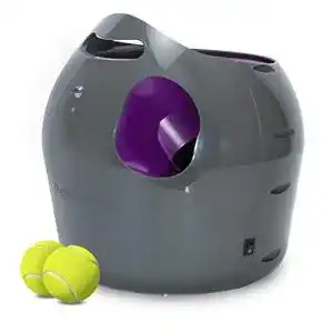 Die beste Ballwurfmaschine Hund 2026 Test Bestseller Ballwurfmaschine Hund