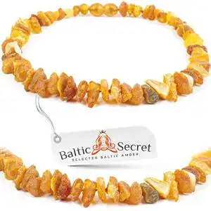 bernstein-halsband-hund-baltic-secret-bernsteinkette-hund