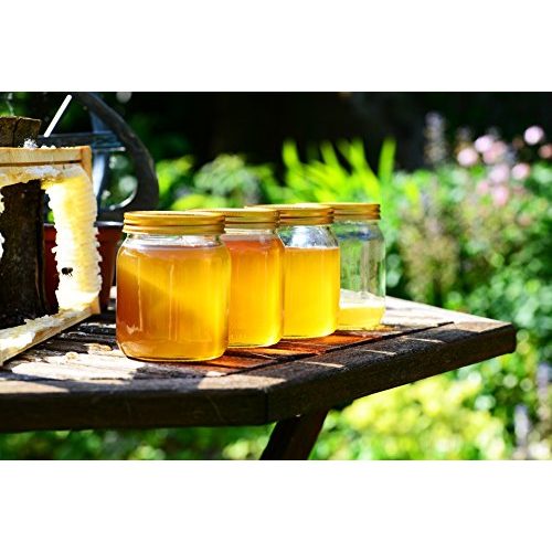Bio-Honig ImkerPur BIO Rohhonig, nicht geschleudert, 1000 g