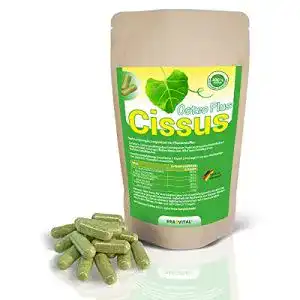 Cissus quadrangularis ERASVITAL Cissus Osteo Plus 240 Kapseln
