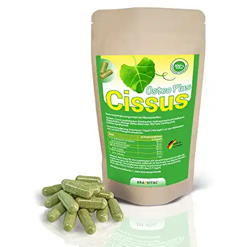 Cissus quadrangularis ERASVITAL Cissus Osteo Plus 240 Kapseln