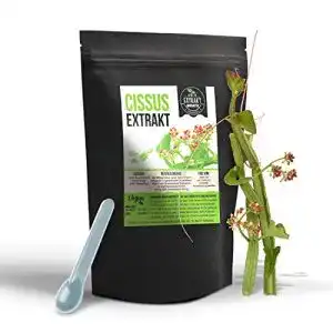 cissus-quadrangularis-foodfrog-101-extrakt-hochdosiert100g