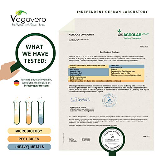 Cissus quadrangularis Vegavero ® | 40% KETOSTERONE | 120 Kaps.
