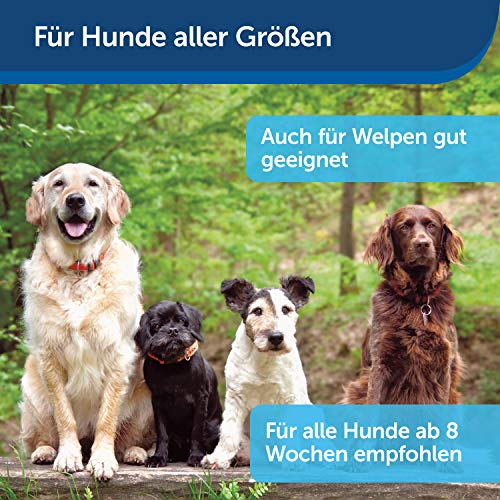 Clicker PetSafe Clik-R Klicker für Hunde inklusive Fingerschlaufe