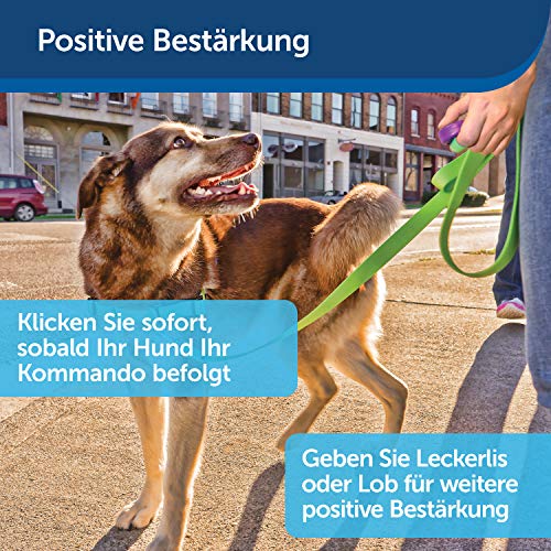 Clicker PetSafe Clik-R Klicker für Hunde inklusive Fingerschlaufe