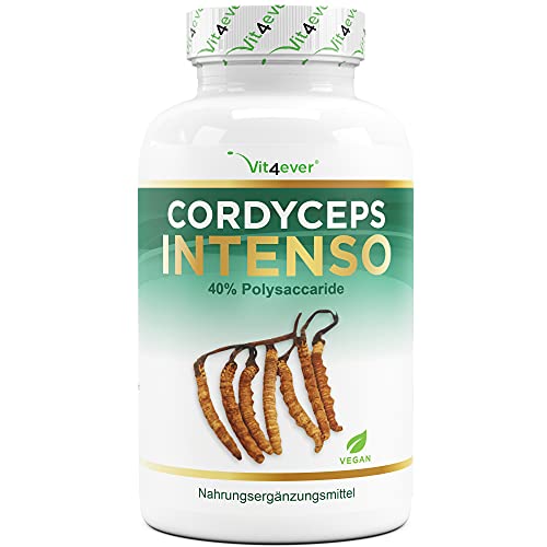 Die beste cordyceps vit4ever pilz 180 kapseln 650 mg echtem cs 4 Bestsleller kaufen
