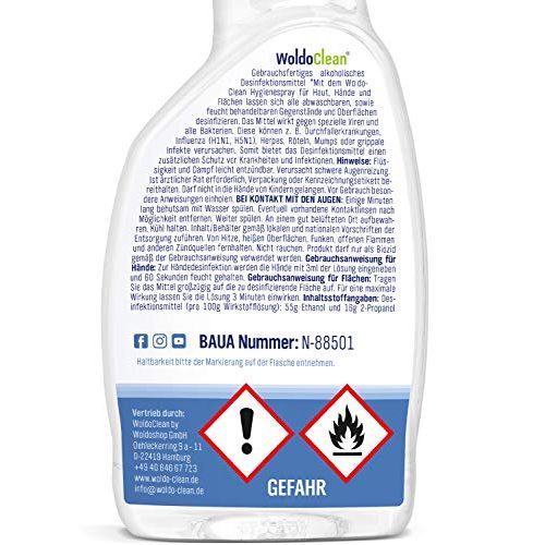 Desinfektionsspray WoldoClean Desinfektionsmittel 2x 500ml