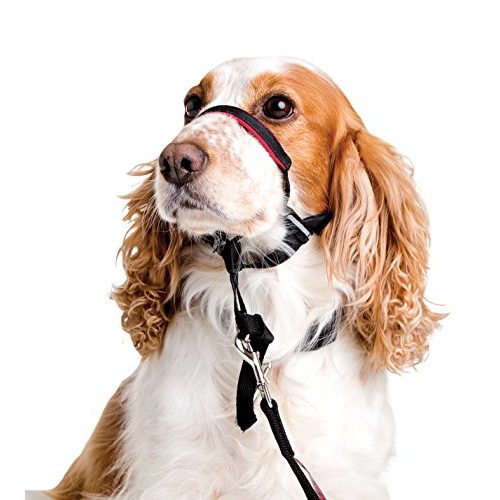 Erziehungshalsband Halti OptiFit Kopfhalfter für Hunde