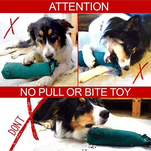 Futterdummy Romneys Suchendummy – für kleine Hunde 100g