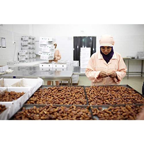 Getrocknete Datteln Cashew for You 1000g Bio Fairtrade