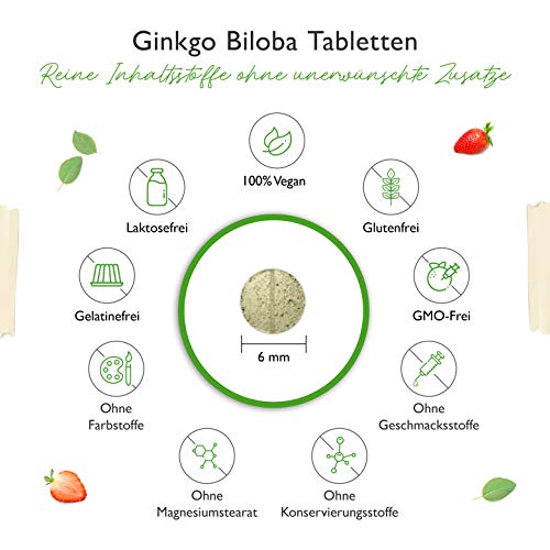 Ginkgo-Tabletten Vit4ever Ginkgo Biloba 6000 mg, 365 Tabletten