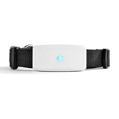 GPS für Katzen Simmotrade ® SMT_911_OS, GPS Tracker