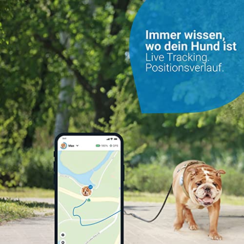 GPS für Katzen Tractive GPS Tracker für Hunde (2021)