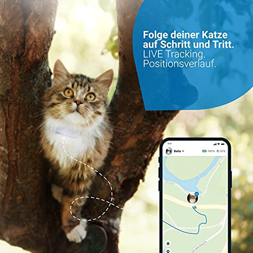 GPS für Katzen Tractive GPS Tracker für Katzen mit Halsband