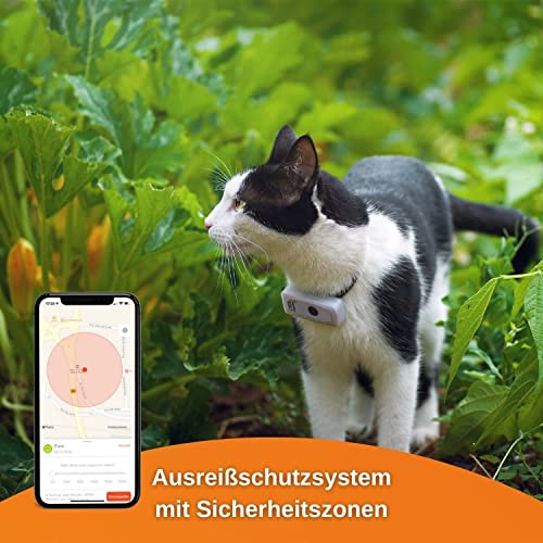 GPS für Katzen Weenect Cats 2 – Der weltweit kleinste GPS-Tracker