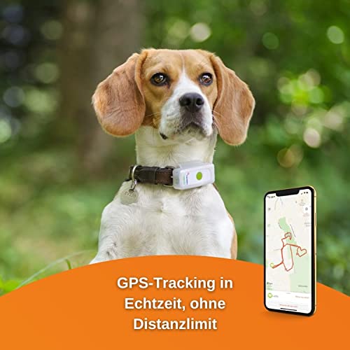 GPS-Tracker Hund Weenect Dogs 2: weltweit kleinster GPS-Tracker