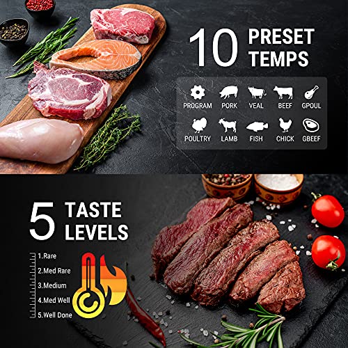 Grillthermometer ThermoPro TP07 mit Timer, BBQ, Ofen, Smoker